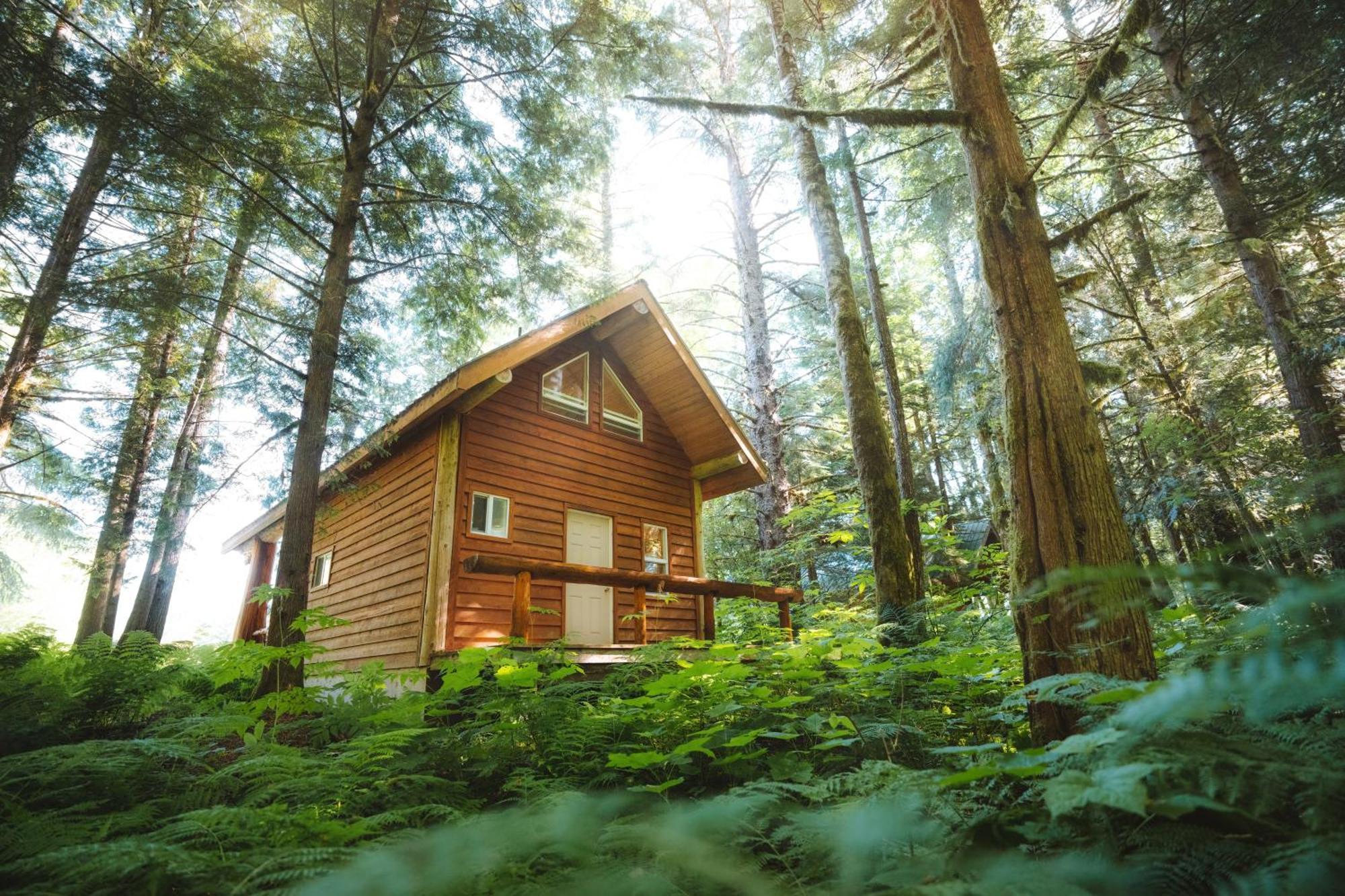 Bella Coola Grizzly Tours And Resort Hagensborg ภายนอก รูปภาพ