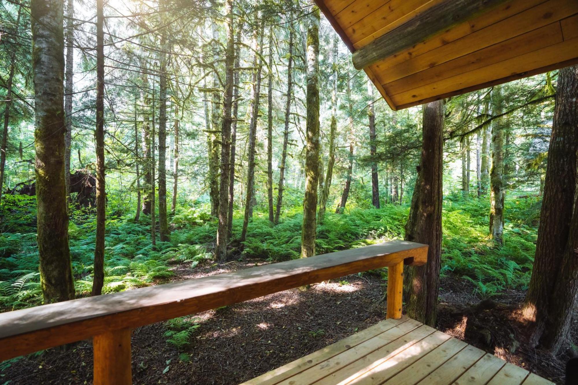 Bella Coola Grizzly Tours And Resort Hagensborg ภายนอก รูปภาพ