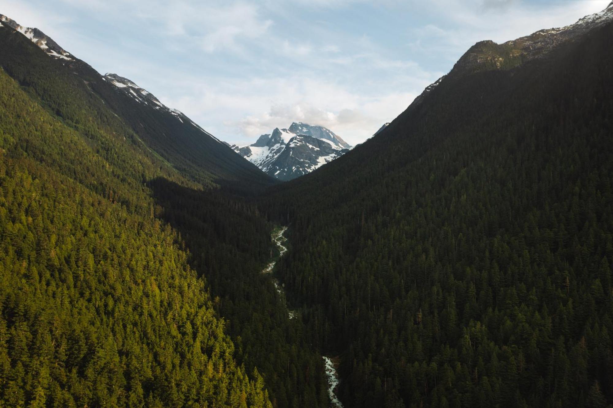 Bella Coola Grizzly Tours And Resort Hagensborg ภายนอก รูปภาพ