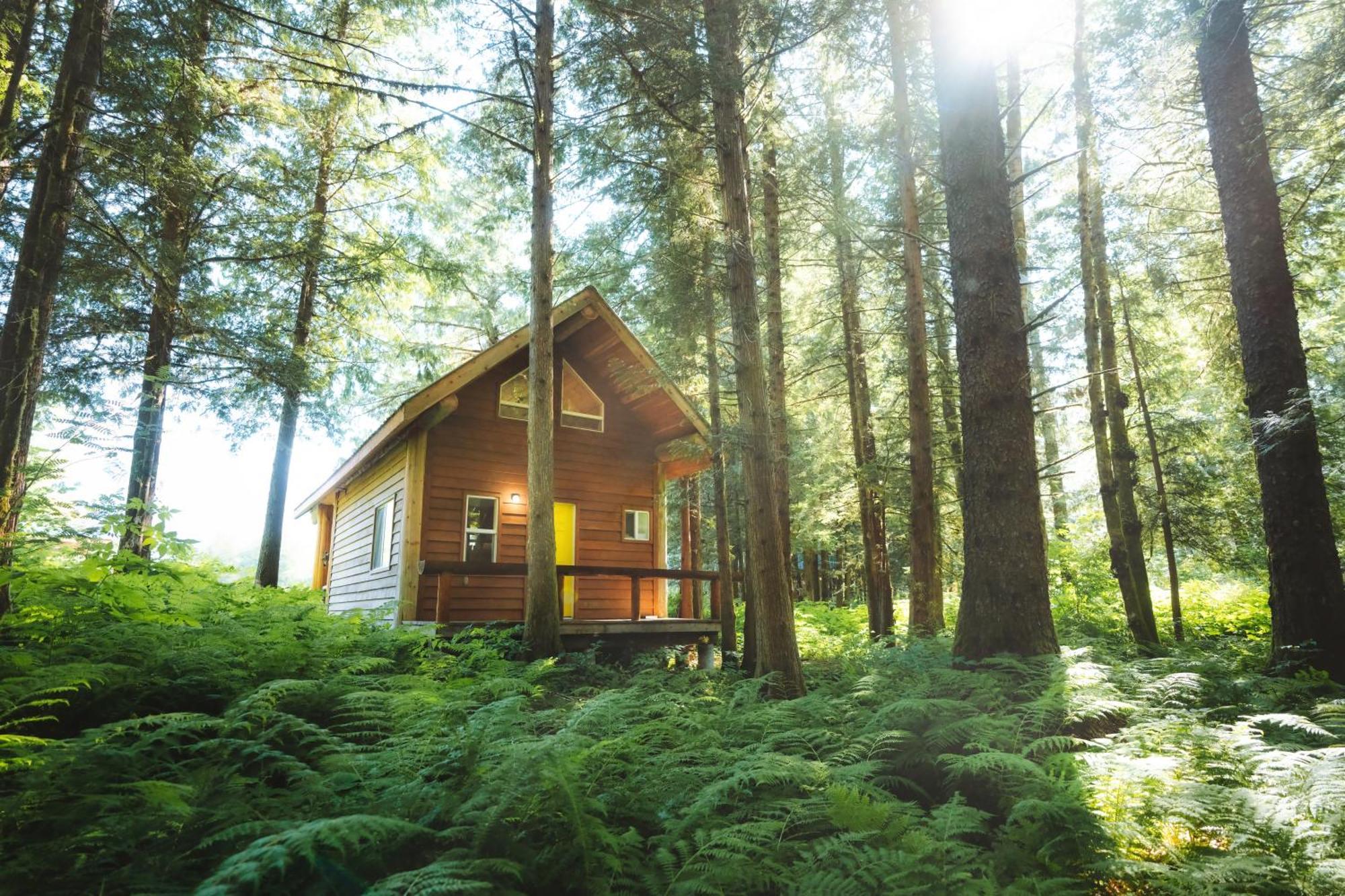 Bella Coola Grizzly Tours And Resort Hagensborg ภายนอก รูปภาพ